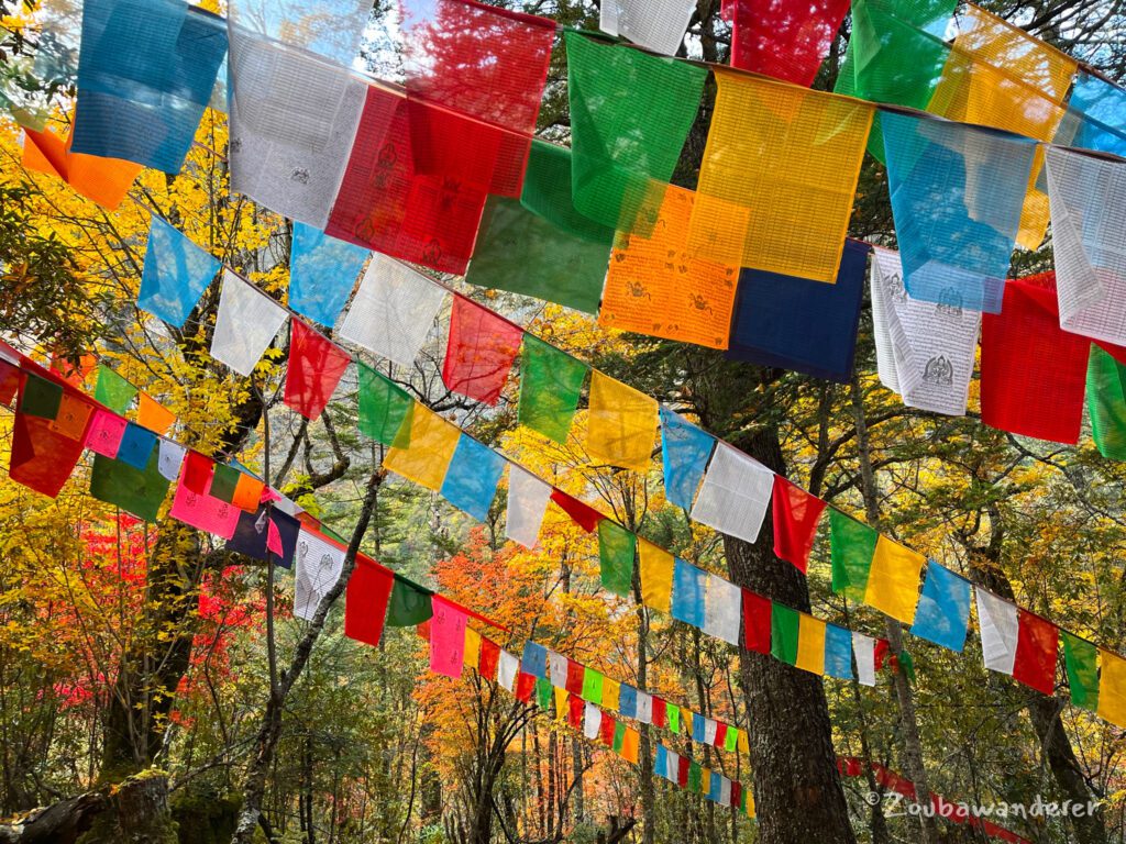 On the way back to Yubeng Village 尼色返回雨崩