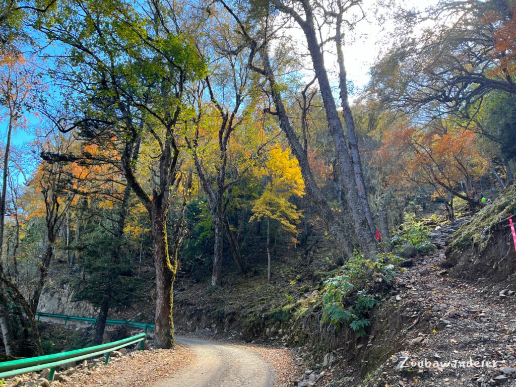 Hiking from Xidang to Yubeng Village