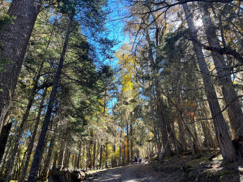 Hiking from Xidang to Yubeng Village