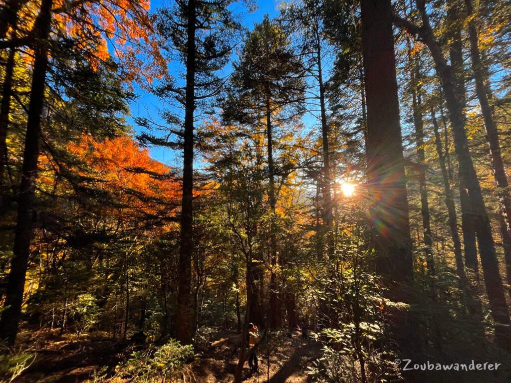 Autumn colours 秋色