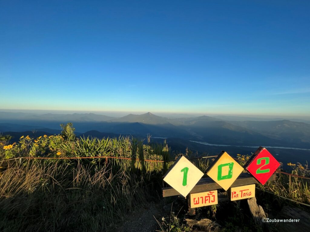 Doi Pha Tang 102