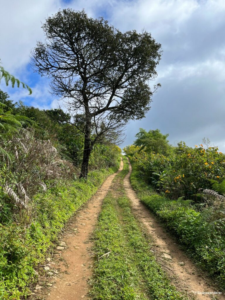 Phu Chi Duen Trail