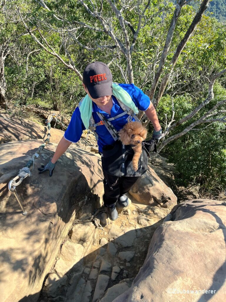 Hiker with a poodle